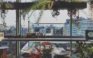 Thumbnail for Malaga’s Top Rooftop Bars with Stunning Views